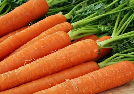 Распространенные виды моркови